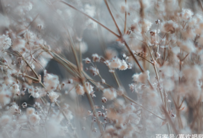 ​励志美文：时间和爱