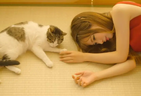 1697630927539664.png image.png