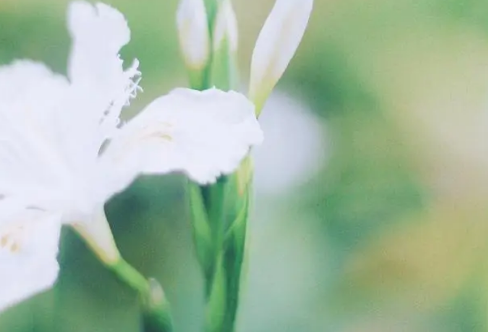 1708246717128311.png image.png