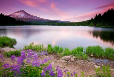 ​心安理得造句