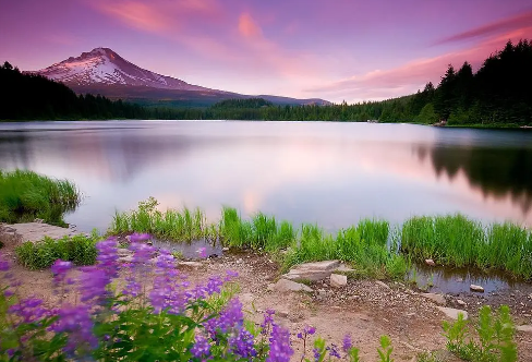 1708248548948136.png image.png