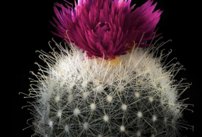 ​停滞不前造句