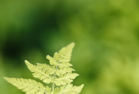 1708254044159611.png image.png