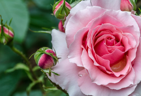 1708254378285269.png image.png