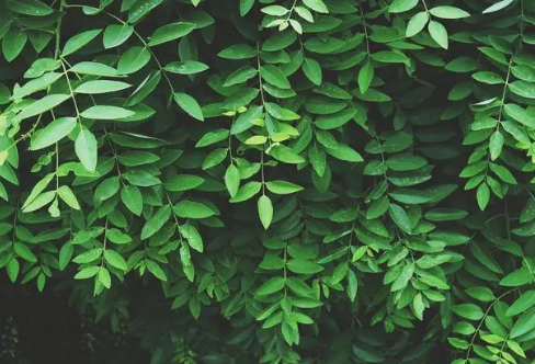 1708256377150105.png image.png