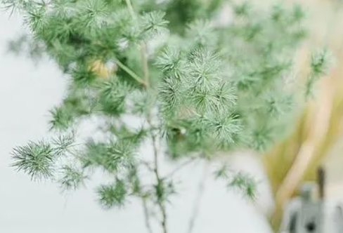 1708257043928910.png image.png