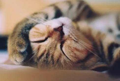 1708259708694705.png image.png