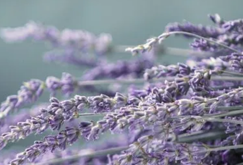 1708260207135256.png image.png