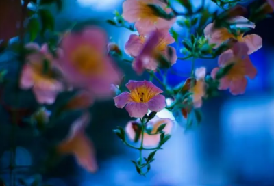 ​平易近人造句