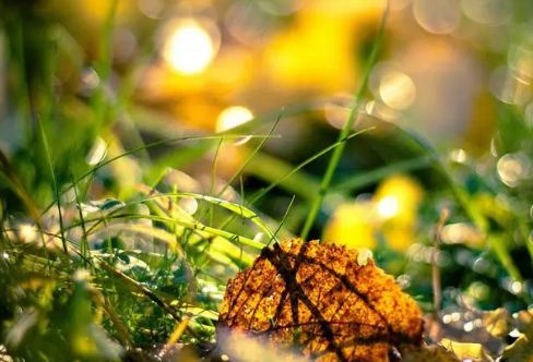 1708261539613813.png image.png