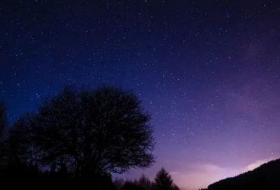 ​经营管理造句