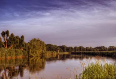 ​励精图治造句