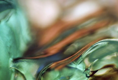 ​诚心诚意造句