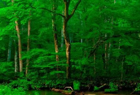 1708266534745266.png image.png