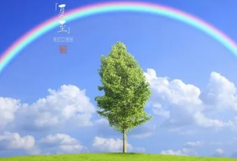 1708266700304442.png image.png