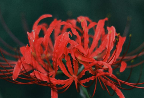 1708268198531078.png image.png