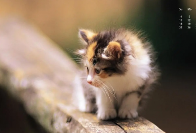 ​置之不理造句