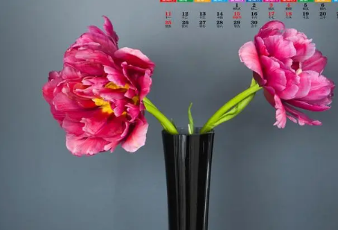 1708270864480241.png image.png