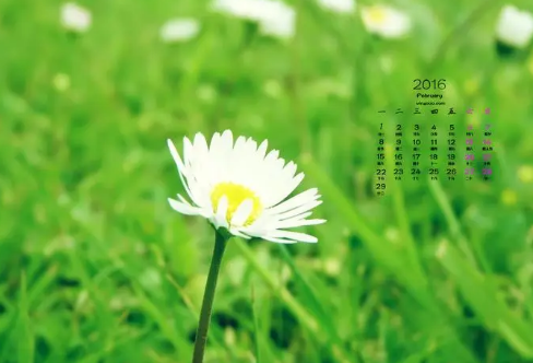 1708271031119215.png image.png