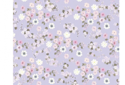 ​冠冕堂皇造句