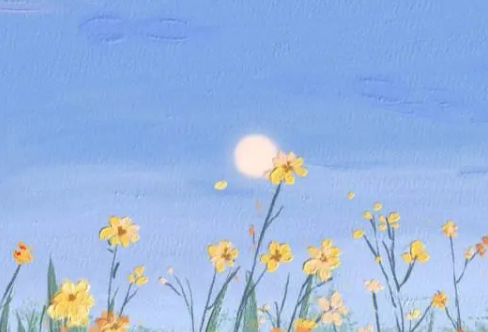 1708280527470313.png image.png