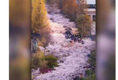 ​天翻地覆造句