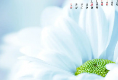 ​座无虚席造句