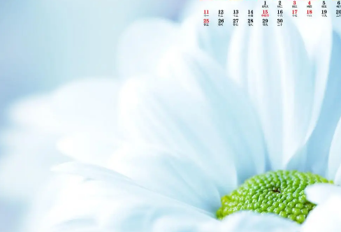 1708290514763043.png image.png