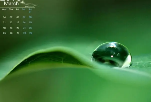 1708293344369802.png image.png