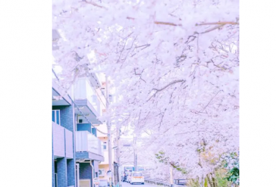 ​千篇一律造句