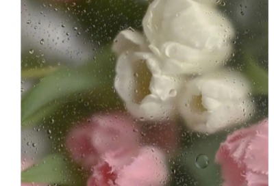 ​家破人亡造句