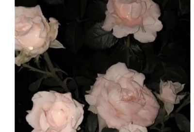 ​东倒西歪造句