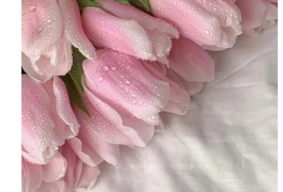 ​海角天涯造句