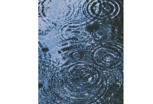 1708305164574239.png image.png