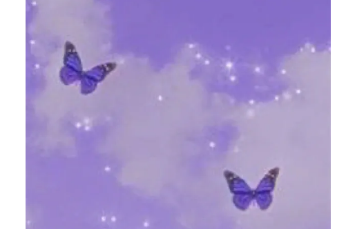 1708308326160237.png image.png