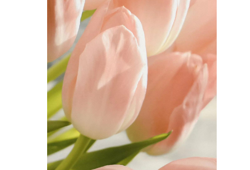 1708308992429108.png image.png