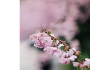 ​包罗万象造句