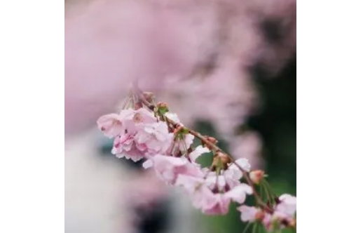 1708309657952746.png image.png