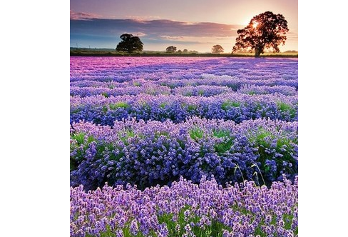 1708310323573614.png image.png