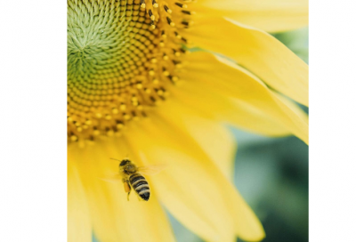 ​来势汹汹造句