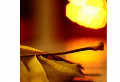 ​一窍不通造句