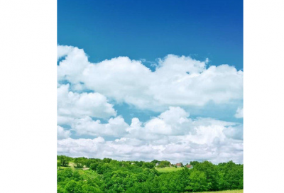 ​多才多艺造句