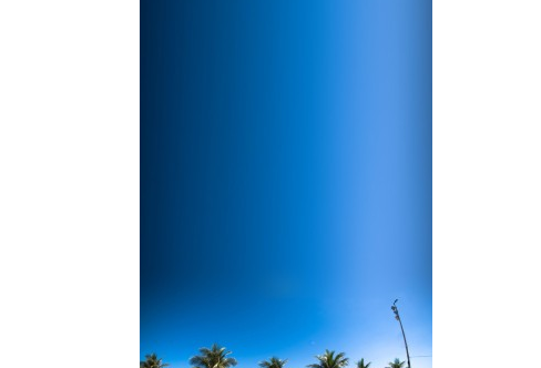 1708318147127977.png image.png