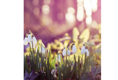 ​暴跳如雷造句