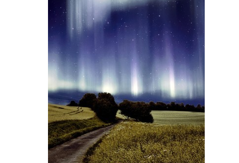 1708319146859125.png image.png