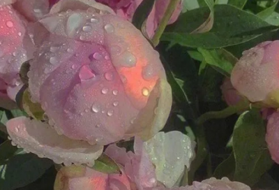 ​愈,愈,愈,愈造句