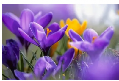 ​力挽狂澜造句