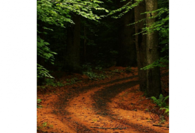 ​坐以待毙造句