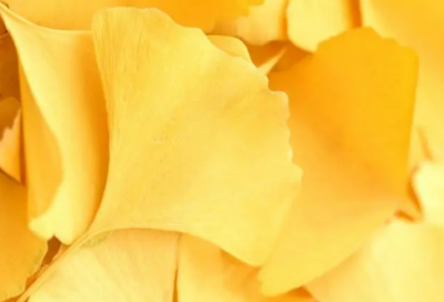 ​天花乱坠造句