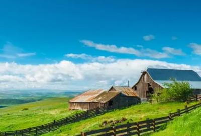 ​将信将疑造句